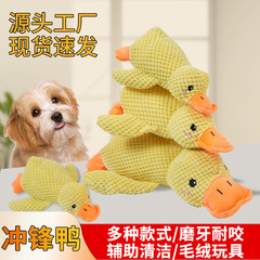 ぬいぐるみの犬と一緒に寝ます。アヒルと一緒に歯ぎしりに耐えます。