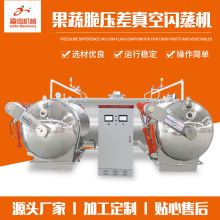 果蔬脆片压差真空闪蒸干燥机 果蔬脆片加工设备 苹果脆片加工机械