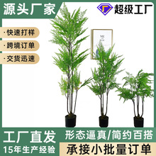 ���Ʒ��沨˹ާ���Rβާ�����҃ȴ�������ֲ������辰�b[��