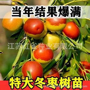 ������玧�����Ϸ������Nֲ�޽ӹ����z��մ���󗗳��𶬗����