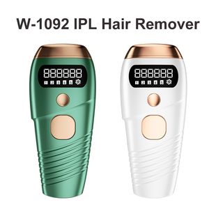 �羳���l�������w�x�����o�w5�n�{�������� ë�l�坍���݃x�YƷ