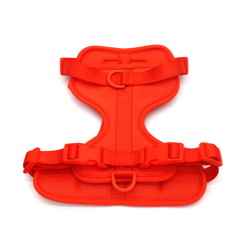 오렌지 레드(단일 코드 50부터)