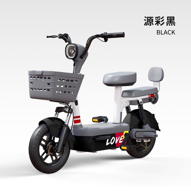 Nueva bicicleta eléctrica unisex batería de coche doble adulto 48V batería de litio DingTalk tienda física