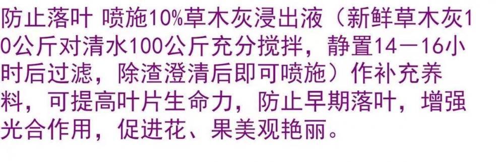 bff00288-88b0-4324-bf55-748eb12e4feb.jpe