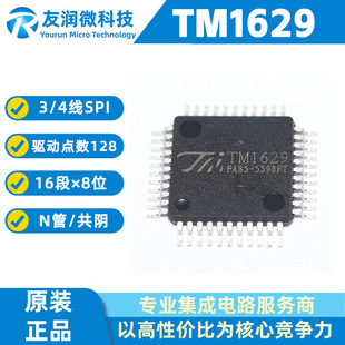 Agent TM1629 AIP1629 QFP44 LED Display driver IC chip