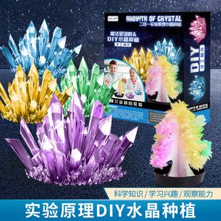 ��ͯ�Nֲˮ��������b�ֹ�diy�����B���w���L�Y��С�W���������