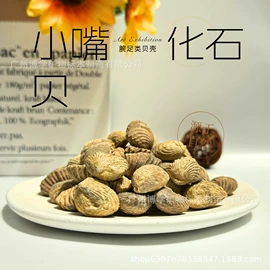 石膏工艺品;宝石工艺品;标本