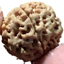 珠子盘串菩提批发大金刚蜂念珠佛珠手串批发菩提满肉文玩大菩提