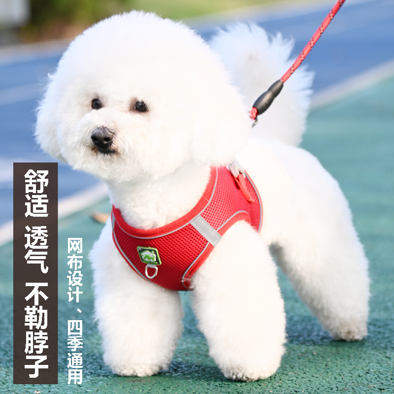 ベスト型小型犬ビションテディポメラニアン子犬子犬ハーネス犬用リード犬用チェーン犬用リード|undefined