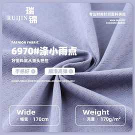 涤小雨点布料 170g涤氨高弹春夏凉感透气T恤防晒衣针织面料