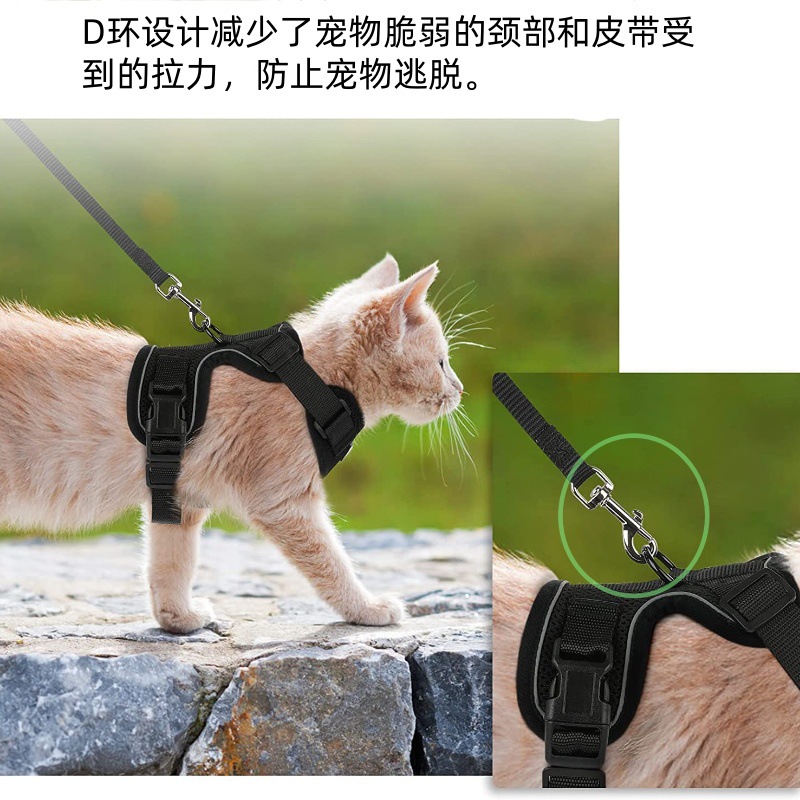 71m3QkWDRaS._AC_SL1500__副本