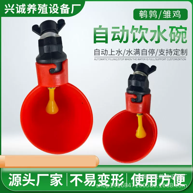 雏鸡自动饮水碗家畜饮水器鸡鸭鹅鹌鹑鸽子饮水器厂家批发养殖设备