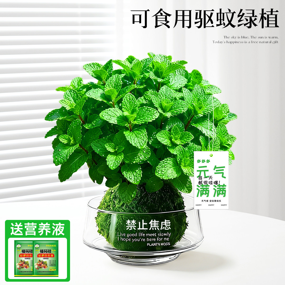 With simple planting pot
