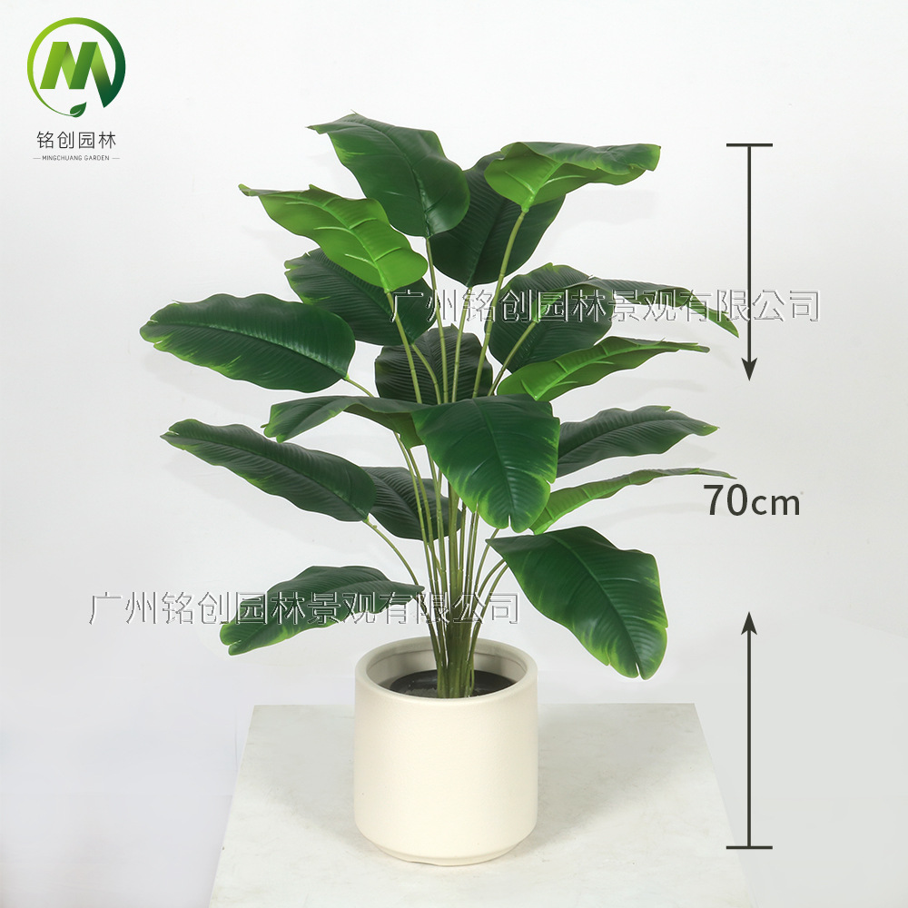 Árbol de simulación transfronterizo, plátano viajero, planta en maceta, nueva planta de simulación, pájaro del paraíso, planta verde de simulación de hoja grande, plátano viajero