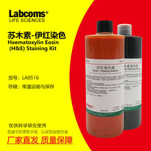 苏木素伊红染色液 苏木精伊红染色HE染色液 雷博康 LABCOMS