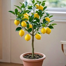 ˮʘԎļʳˮϱ҃ȷNֲY