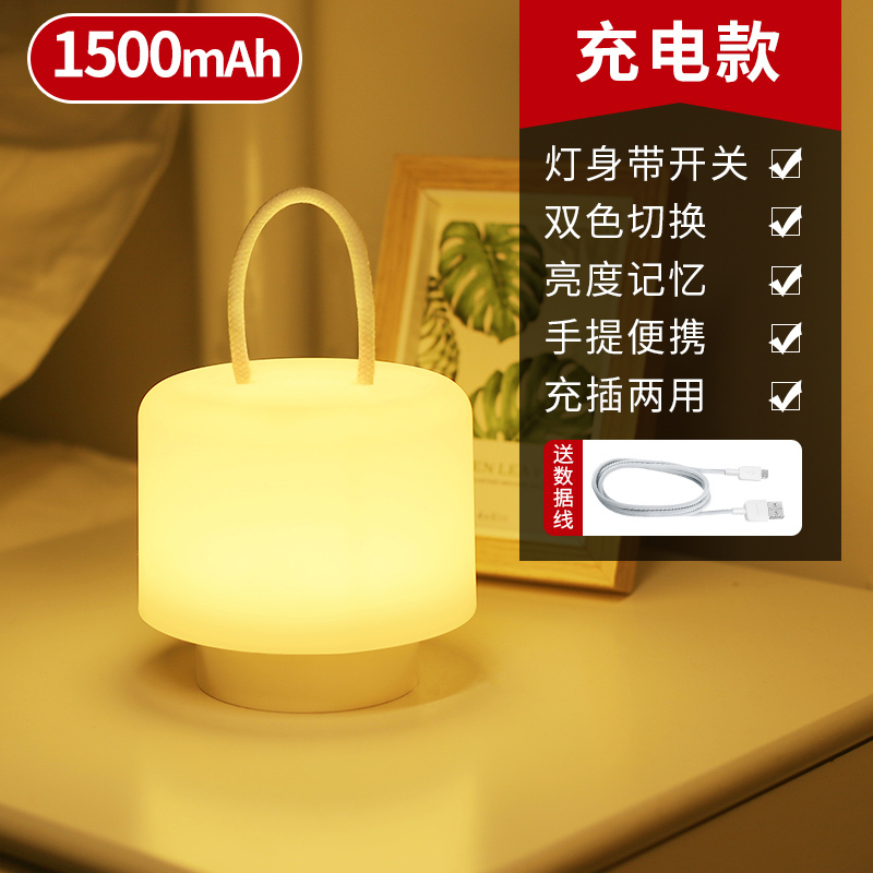 明かりをつけてベッドの上でリモコンの小さい夜の明かりで室内の壁の学生の寮の明かりを掛けます。|undefined