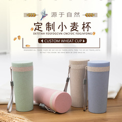 Insulated Wheat Straw Cup Student Portable Double Layer Heat Insulation On-the-go Cup Plastic Water Bottle for Wholesale with Logo Printing