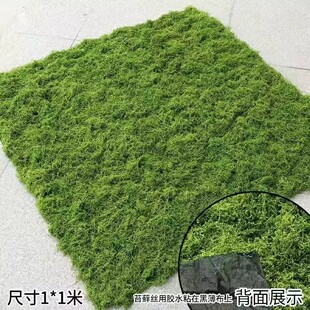 ����̦�\�쾰����̦ë����Ƥ�Gֲ΢���^ֲ���b����������ƺ����