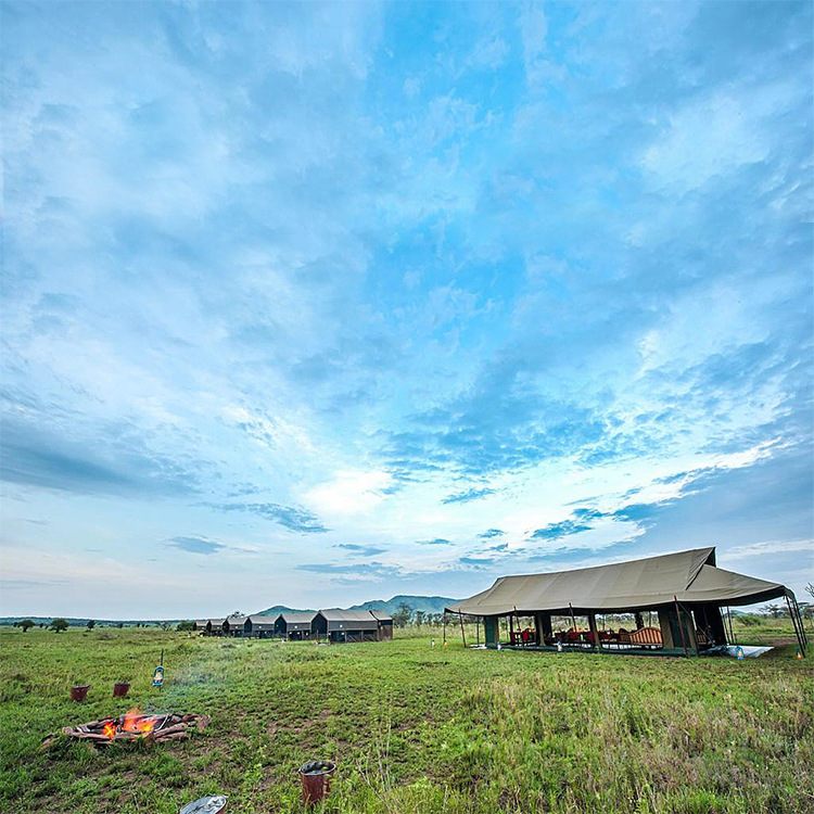 Cabaña de campaña para vacaciones, 30 metros cuadrados, hotel en pradera, experiencia de camping, casa, sombra exterior, ocio al aire libre