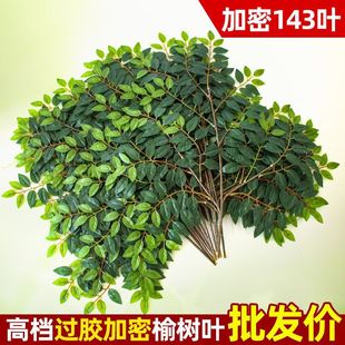 ܘ~~~Ϙ֦G~쾰҃ȾGb٘