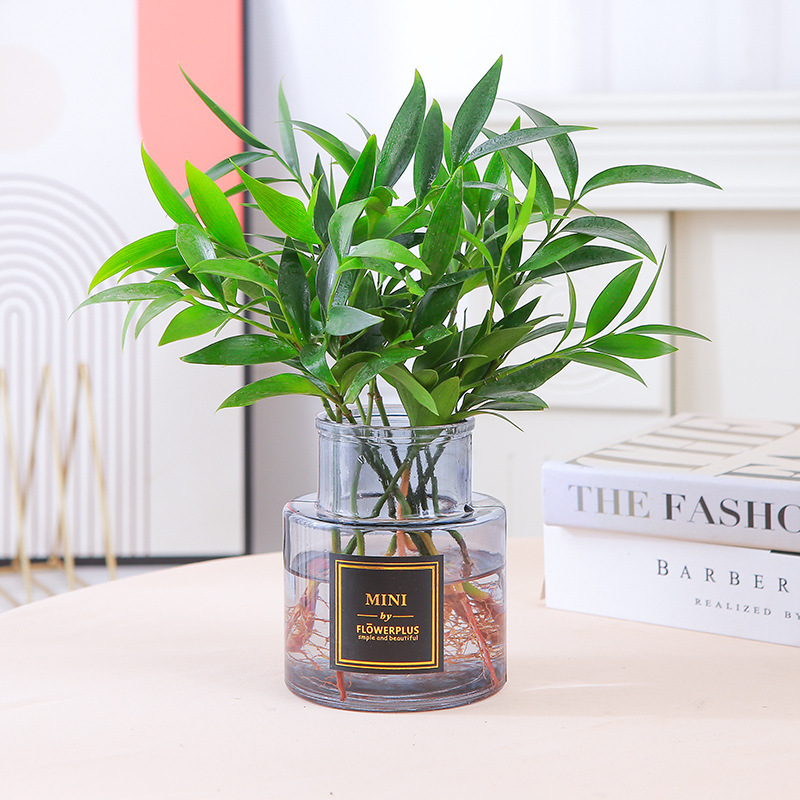 [핫셀링 수경재배] 모기퇴치대나무, 편백나무 10종(회색유리병)과 무료 크리스탈을 선정하였습니다.