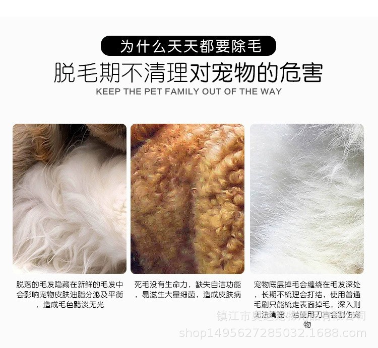 详情3-1.jpg