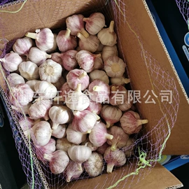 脱水蔬菜;其他调味品;蒜