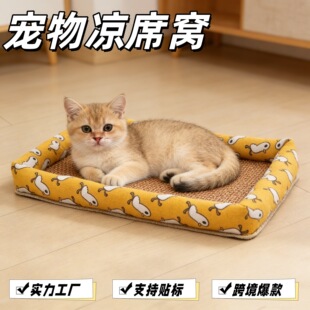 牵引绳猫