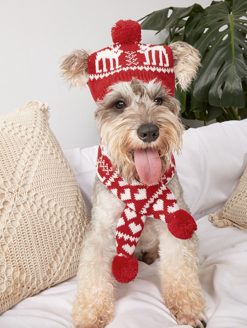 Natal novo cão de estimação malha bonito quente bola de pelo floco de neve triângulo xadrez multi cor cachecol chapéu conjunto_voghion.com