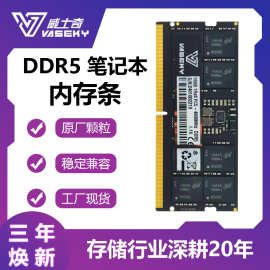 Vaseky威士奇 DDR5 32G笔记本内存条16G 6400 全兼容4800 288PIN