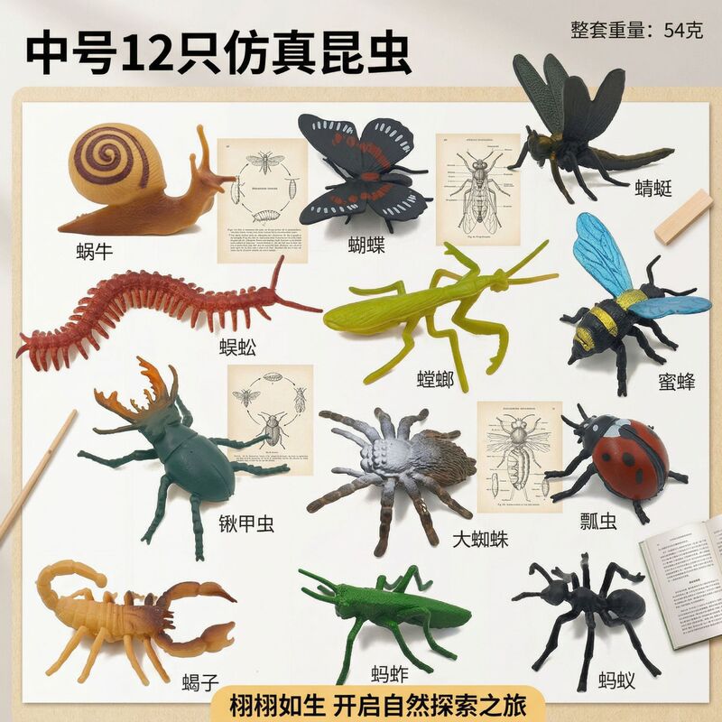 School Simulation Insect Models: Butterfly, Ladybug, Horned Beetle, Bee, Butterfly, Grasshopper Toy Cognitive Teaching Aids
