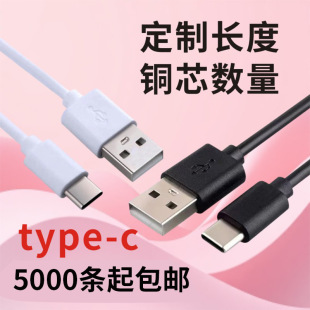 type-c����������{�����CС�L����C��20 30 50cm��늾��̾����l