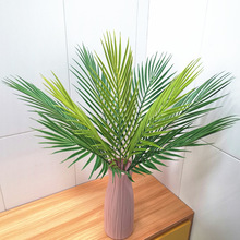 ����Gֲ�ȼ����~�F��ɢβ����˹�Dާ��ާ�c�廨�Ƶ��̈��b�