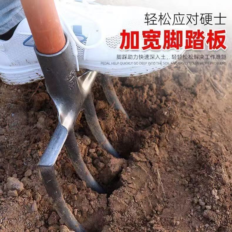 微信图片_20250221093136.jpg