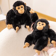 ����ë�q���к���������С������ż���ބ���@�o��Ʒë�q��߶Y��