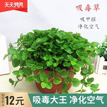 �����������҃ȵ��m�͏dֲ���·�ȥζ�Gֲ���ܰ��]