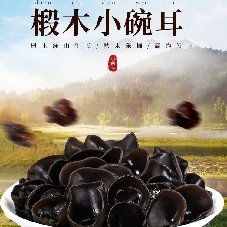 東北黒きくらげ 乾物 特級 500g 公式旗艦店 秋きくらげ 乾燥野生小鉢耳 業務用ネズミ耳|undefined