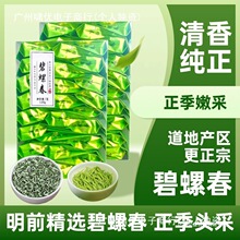 碧螺春绿茶2025新茶茶叶浓香型茶包独立小包装礼盒装125g500g批发