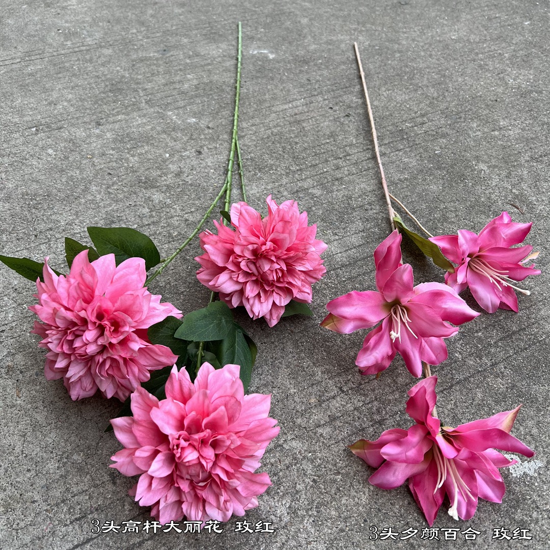 微信图片_20220519175004