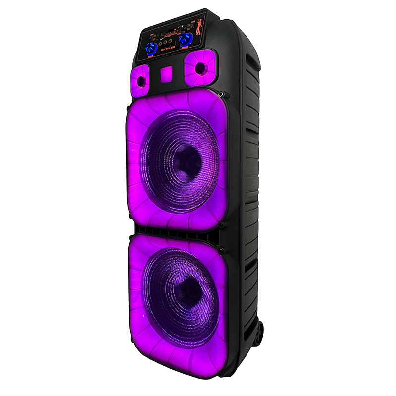 Gran promoción transfronteriza doble 15 pulgadas 80W altavoces al aire libre festivales comunitarios reproductores Bluetooth con micrófono atmósfera LED
