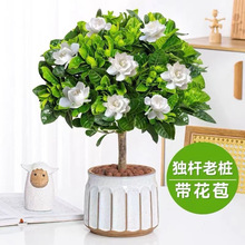 �������������U�󻨗d�ӻ�����~ĵ���d�ӻ����Ԙ����ļ��d�ӻ�