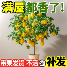 ˮʘԎʳͥԺϘNֲYGֲ̨