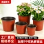 工艺成型塑料pp花盆