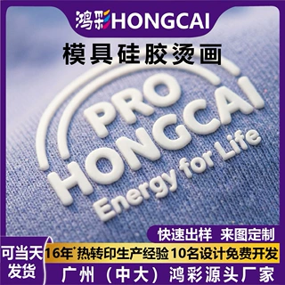 3D字母硅胶烫画立体模具硅胶帽子logo烫标热转印贴纸定制广州厂家