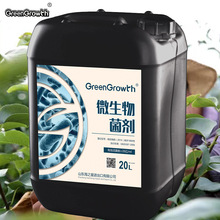 荷兰菌液解磷固氮微生物菌剂瓜果蔬菜专用提升肥力促高产有效活菌