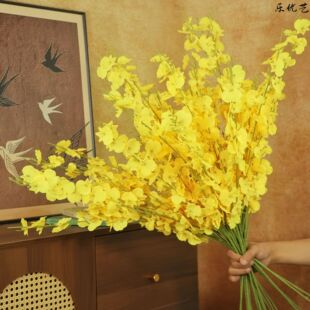 ����ˇ���������m�羳���滨�S�Ҽٻ��Gֲ�����l��c�b�Ʒ�Ҿӻ�