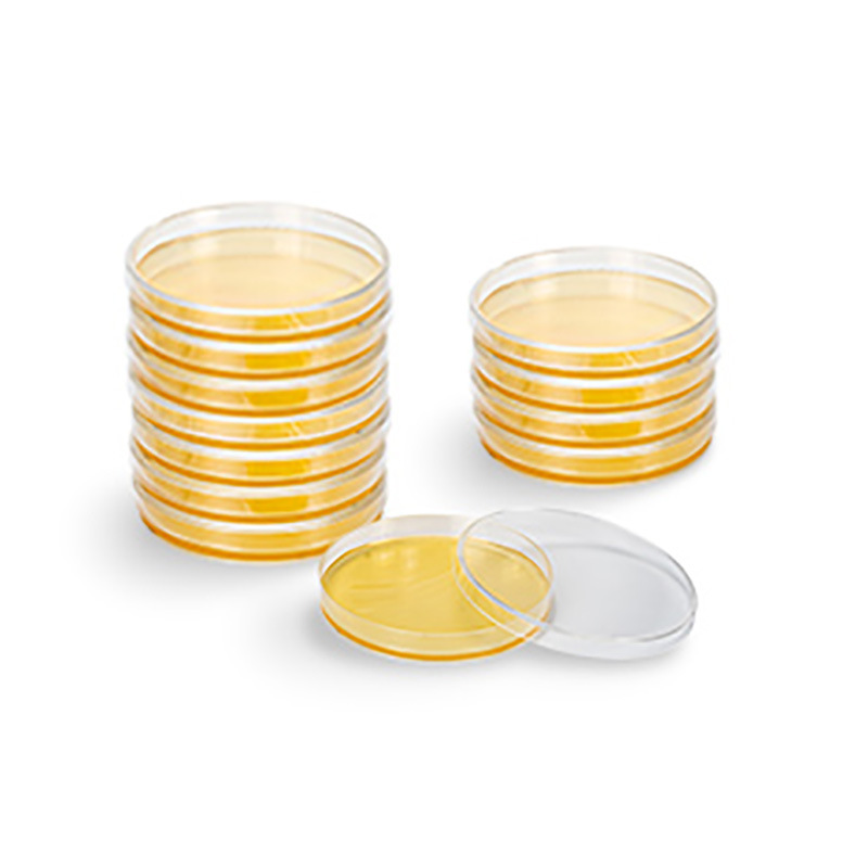 逗点生物Aiculture 弧菌显色培养基平板 微生物培养基