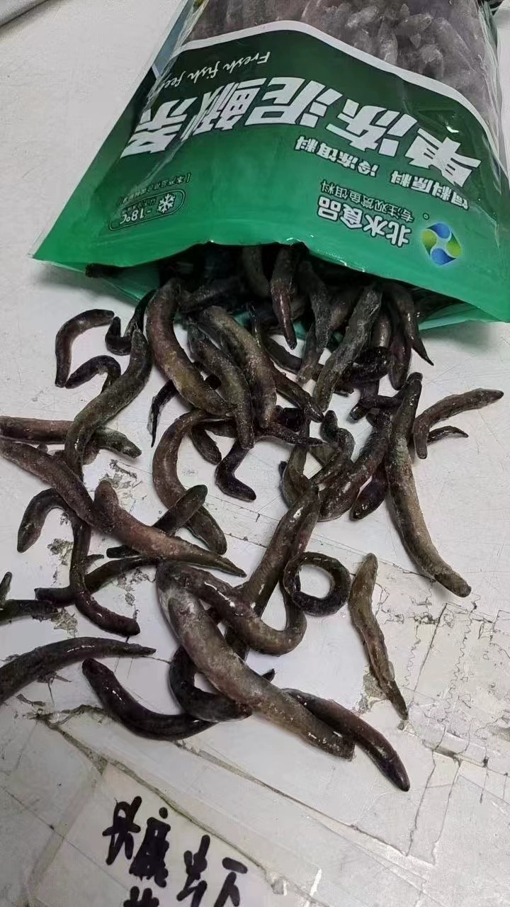 [北水冰冻泥鳅条河白虾热带鱼地图鹦鹉龙虎狗头河豚饲料热带鱼专用]