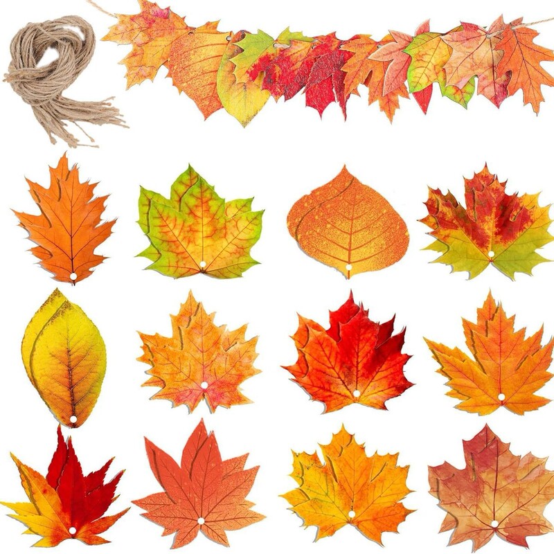 Cross-Border Autum Harvest Maple Leaf Decorative Wooden Signs 36-Piece Set Holiday Ornaments Party Home Holiday Decoration Wood Chips Cross-Border Autum Harvest Maple Leaf Decorative Wooden Signs 36-Piece Set Holiday Ornaments Party Home Holiday Decoration Wood Chips